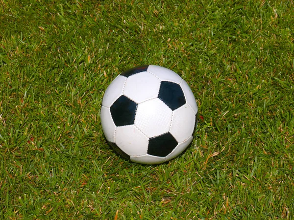 Soccer Ball Lies Green Grass Lawn Field Game — Stock Photo, Image