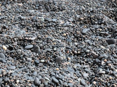 Sahilde yuvarlak deniz taşı taşı var.