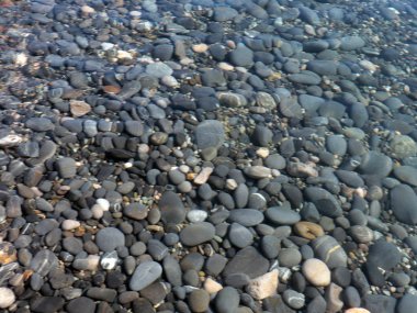 Deniz çakıl taşlarının büyük yuvarlak taşları.