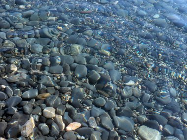 Deniz çakıl taşlarının büyük yuvarlak taşları.