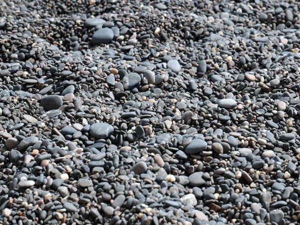 Lekerekített Tengeri Kavicsos Strandon — Stock Fotó