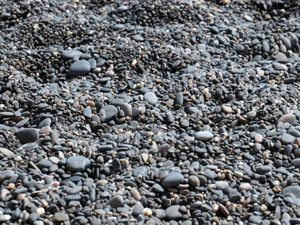 Круглий Морський Гальковий Камінь Пляжі — стокове фото