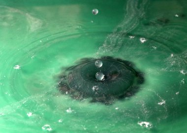 Su damlacıkları yüzeye çarptıktan sonra tuhaf şekiller yaratır.