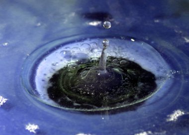 Su damlacıkları yüzeye çarptıktan sonra tuhaf şekiller yaratır.