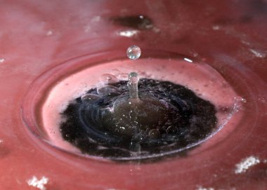 Su damlacıkları yüzeye çarptıktan sonra tuhaf şekiller yaratır.