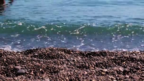 Olas Del Mar Caen Playa Costera — Vídeos de Stock