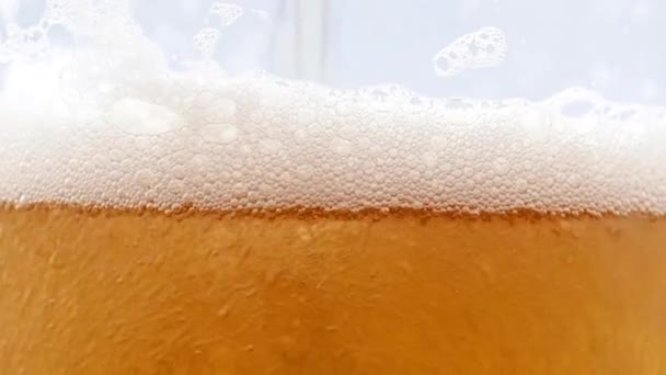 Luchtbellen Het Schuim Het Oppervlak Een Glas Pils — Stockvideo