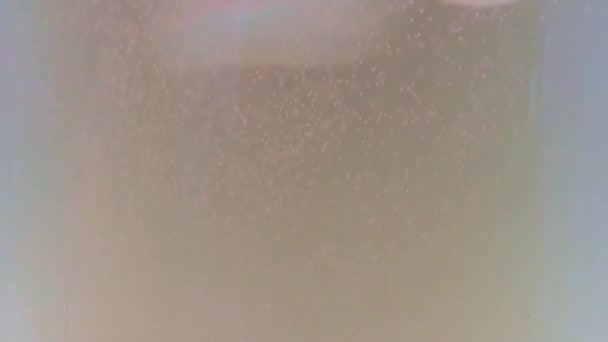 Gelembung Udara Busa Permukaan Dan Dalam Segelas Lager — Stok Video