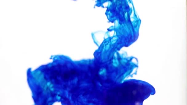 Amazingly Beautiful Diverse Patterns Mixing Ink Clean Water — Stock Video