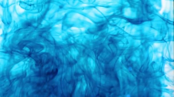 Дивовижно Красиві Різноманітні Візерунки Змішуванні Чорнила Чистою Водою — стокове відео