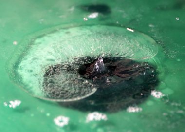 Köpük ve suyun yüzeyine çarptıktan sonra oluşan çeşitli desenler.