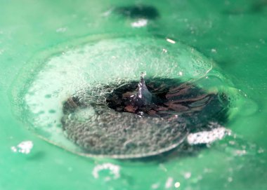 Köpük ve suyun yüzeyine çarptıktan sonra oluşan çeşitli desenler.