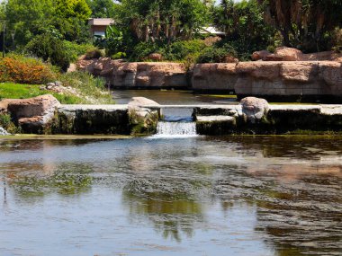 Antalya Türkiye 'nin Lara yerleşim alanındaki pitoresk botanik parkında küçük bir şelale.