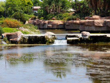 Antalya Türkiye 'nin Lara yerleşim alanındaki pitoresk botanik parkında küçük bir şelale.