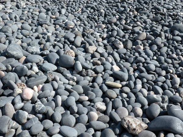 Pedras Arredondadas Cortadas Pela Maré Mar Uma Praia Telha — Fotografia de Stock