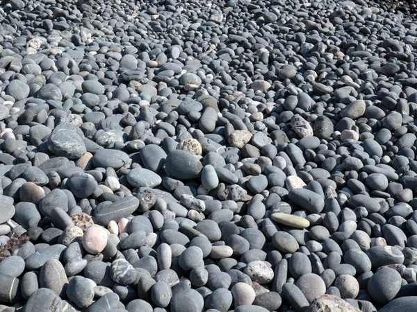 Округлые Камни Высеченные Приливом Берегу Черепицы — стоковое фото