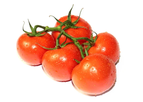 Adoráveis Tomates Vermelhos Maduros Cozidos Para Alimentos — Fotografia de Stock
