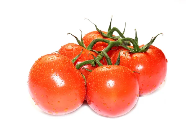 Preciosos Tomates Rojos Maduros Cocinados Para Comida — Foto de Stock