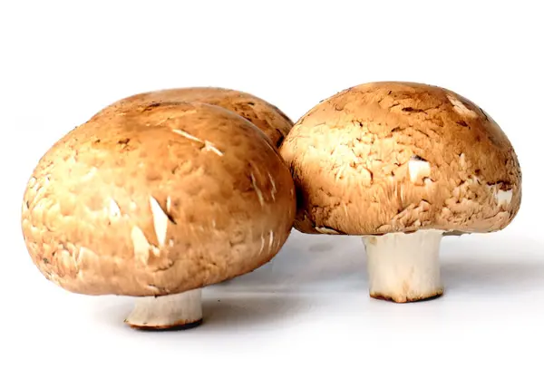 Drie Grote Verse Champignons Bereid Voor Het Koken — Stockfoto