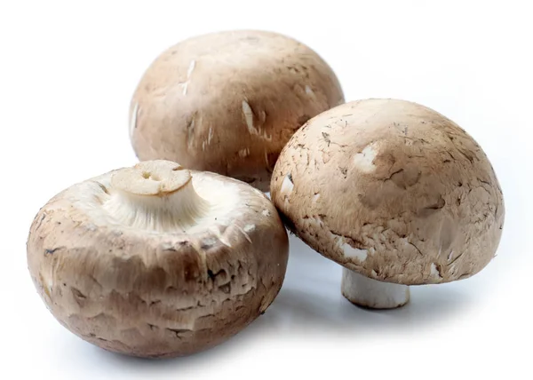 Drie Grote Verse Champignons Bereid Voor Het Koken — Stockfoto