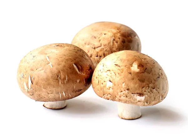 Drie Grote Verse Champignons Bereid Voor Het Koken — Stockfoto