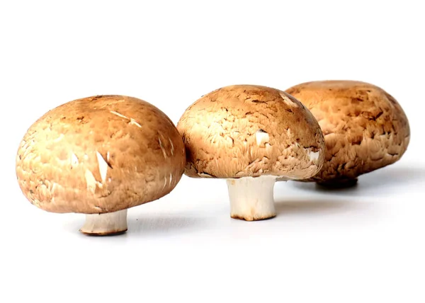 Drie Grote Verse Champignons Bereid Voor Het Koken — Stockfoto