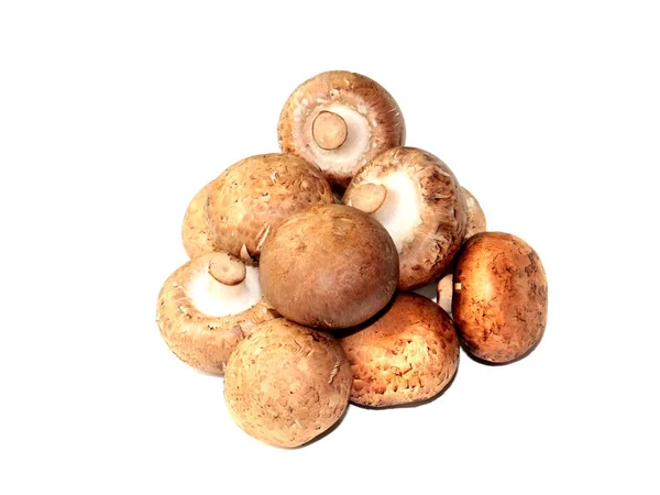 Ein Bündel Reifer Frischer Pilze Als Element Zum Kochen — Stockfoto