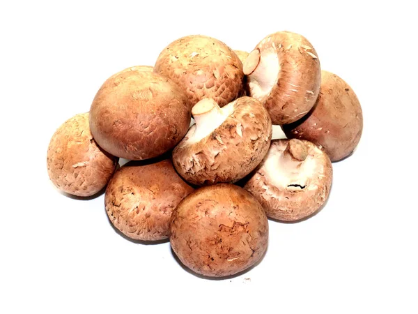 Een Bos Rijpe Verse Champignons Als Kookelement — Stockfoto