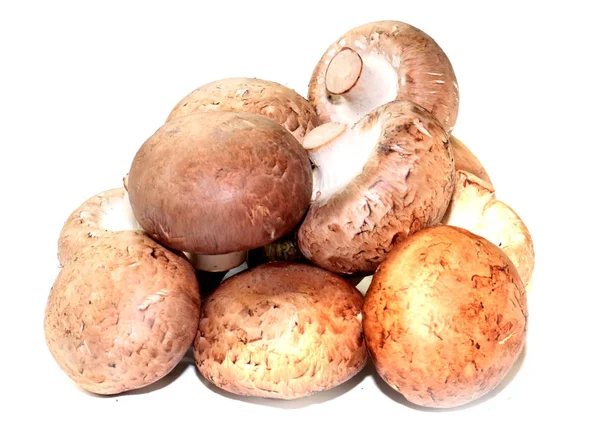 Ein Bündel Reifer Frischer Pilze Als Element Zum Kochen — Stockfoto