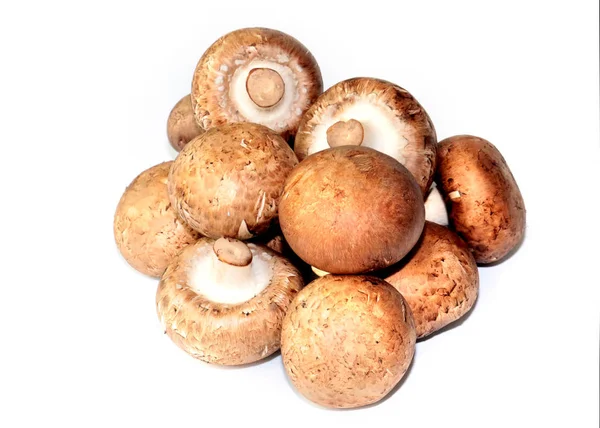 Bouquet Champignons Frais Mûrs Comme Élément Cuisson — Photo