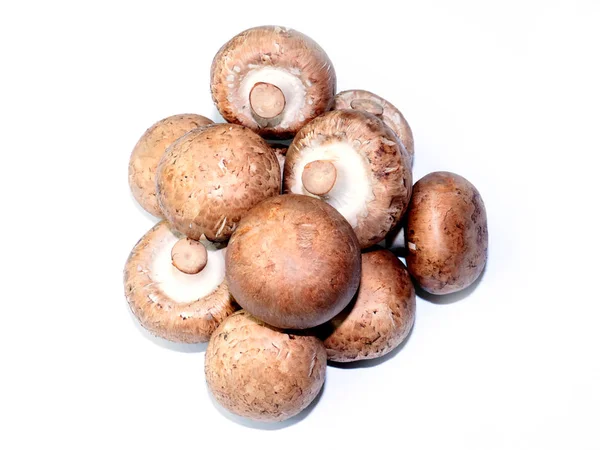 Een Bos Rijpe Verse Champignons Als Kookelement — Stockfoto