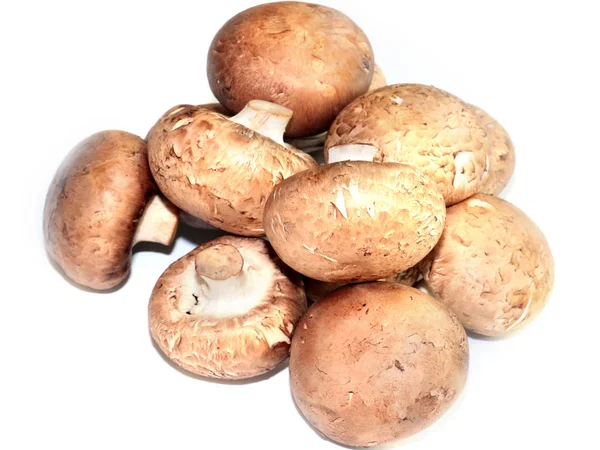 Ein Bündel Reifer Frischer Pilze Als Element Zum Kochen — Stockfoto