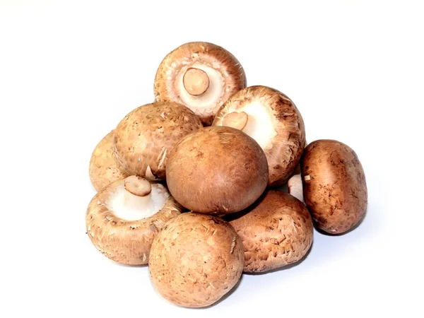 Bunch Ripe Fresh Mushrooms Element Cooking — Stock Photo, Image