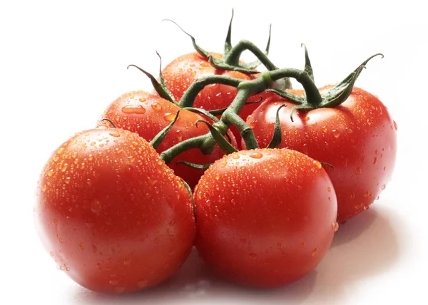 Lovely Ripe Tomatoes Sprig Prepared Eating — Stock Photo, Image