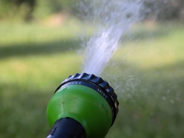 a stream of clean water flows through a plastic sprayer when watering the lawn