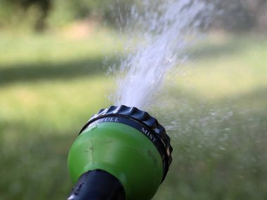 a stream of clean water flows through a plastic sprayer when watering the lawn