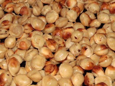 a lovely meat dish Russian fried dumplings