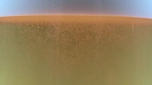 Bulles Mousse Oxygène Dans Verre Bière Légère — Video