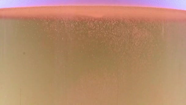 Foam Oxygen Bubbles Glass Light Beer — Stock Video