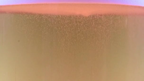 泡と酸素の泡が軽いビールのグラスに — ストック動画