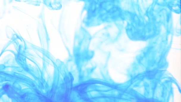 Multicolored Liquids Mixed Creating Fantastic Patterns — Stock Video