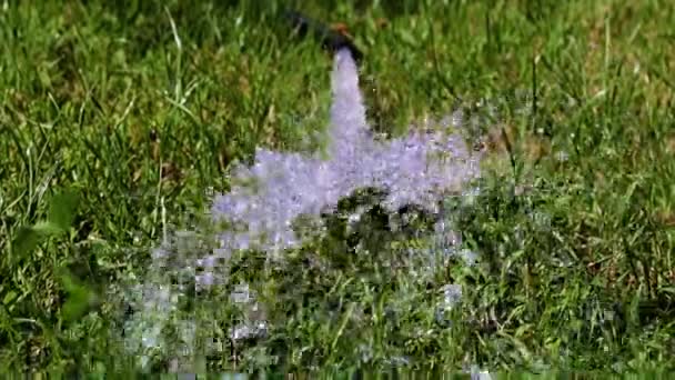 Der Strom Des Klaren Wassers Ist Von Schaum Umgeben — Stockvideo