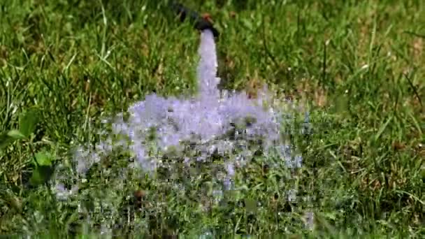 Flusso Acqua Limpida Circondato Schiuma — Video Stock