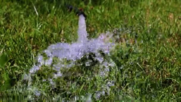 Der Strom Des Klaren Wassers Ist Von Schaum Umgeben — Stockvideo