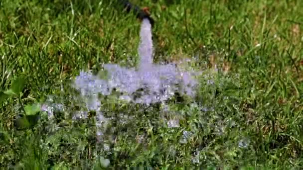 Corriente Agua Clara Está Rodeada Espuma — Vídeo de stock