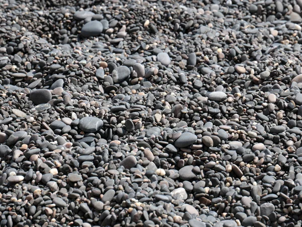 Homokos Kavicsos Strand Tengerpart Részeként — Stock Fotó