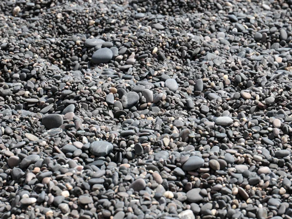 Homokos Kavicsos Strand Tengerpart Részeként — Stock Fotó