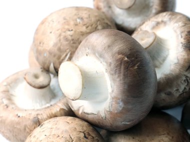 Pişirmeden önce kesme tahtasındaki taze mantarlar