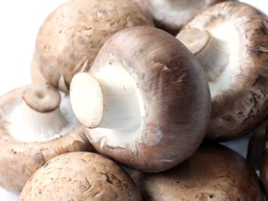 Pişirmeden önce kesme tahtasındaki taze mantarlar