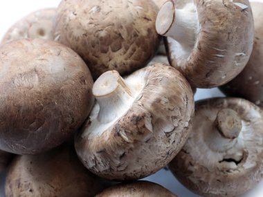 Pişirmeden önce kesme tahtasındaki taze mantarlar